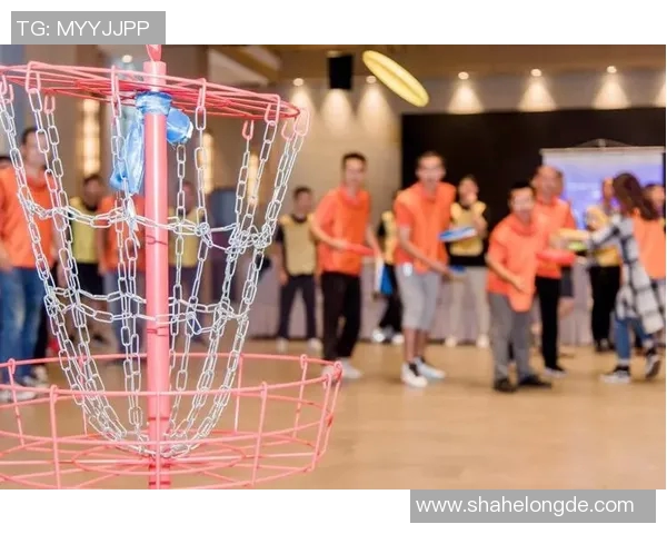 张丽独家分享飞盘技巧与心得体会助你提升飞盘水平的秘密秘籍