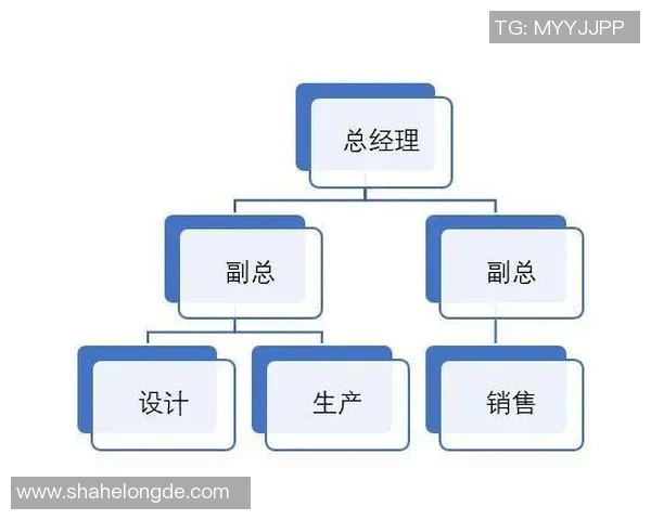 深圳排球队的转型之路：深度解析排球运动的变革与发展