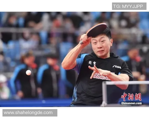 深圳乒乓球队战术解析与发展策略探讨聚焦乒乓球竞技新局面